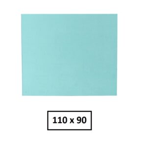 Protector externo caretas fotosensibles 110x90x1mm